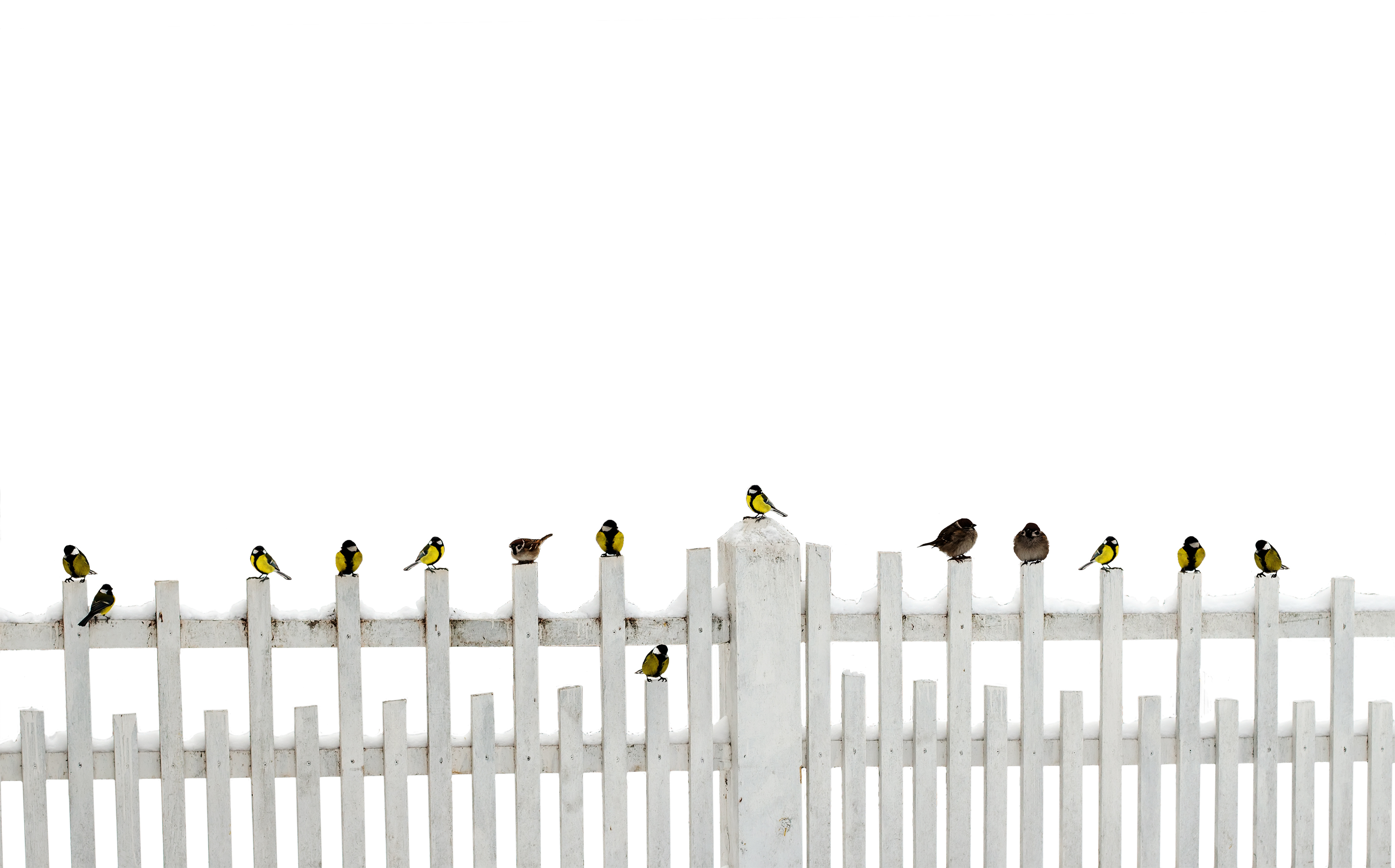 Why You Need to Get Off the Fence